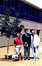 Crimson Maple dedicated to the Class of 1953