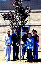 Herfort memorial tree